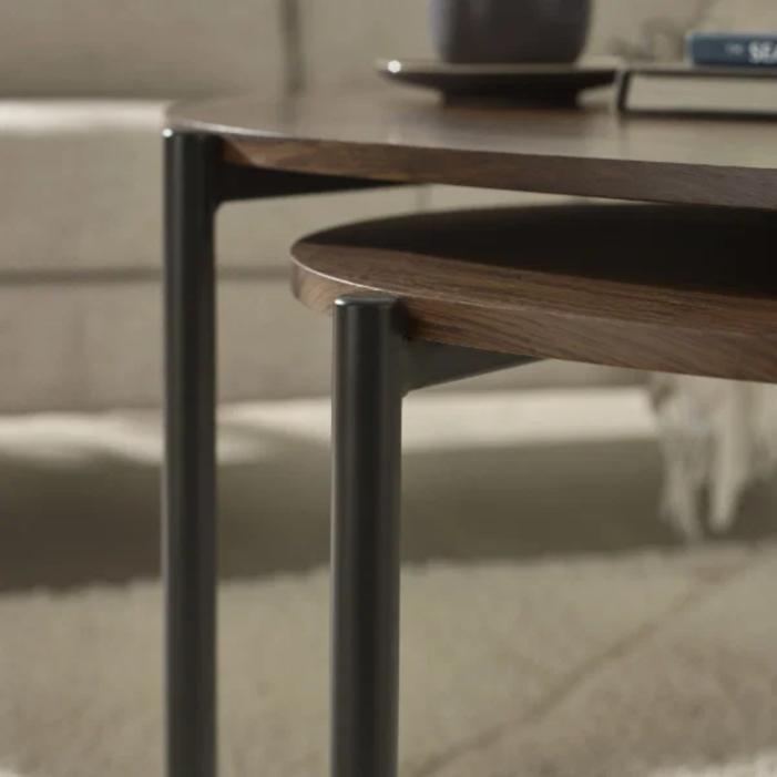 6630_furniture_Lorette Teardrop Nesting Coffee Table.jpg